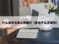 什么是智选展位呢图片（智选平台正规吗）