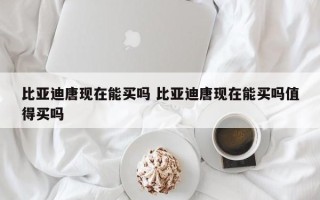 比亚迪唐现在能买吗 比亚迪唐现在能买吗值得买吗