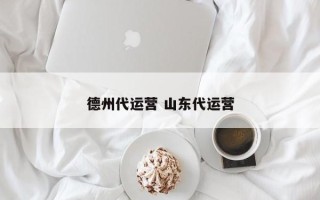 德州代运营 山东代运营