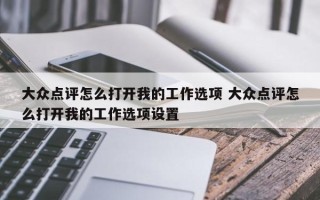 大众点评怎么打开我的工作选项 大众点评怎么打开我的工作选项设置