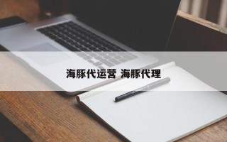 海豚代运营 海豚代理