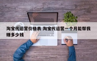 淘宝代运营价格表 淘宝代运营一个月能帮我赚多少钱