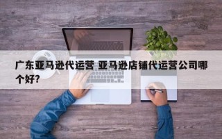 广东亚马逊代运营 亚马逊店铺代运营公司哪个好?