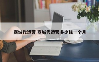 商城代运营 商城代运营多少钱一个月