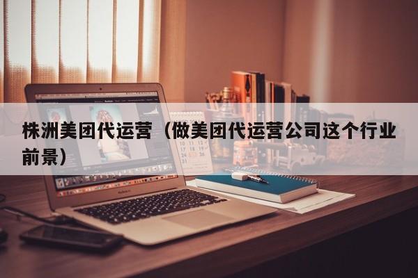 株洲美团代运营（做美团代运营公司这个行业前景）-第1张图片-懂团帝