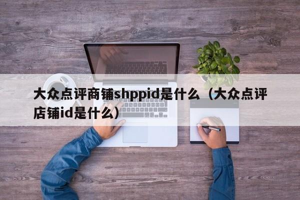 大众点评商铺shppid是什么（大众点评店铺id是什么）-第1张图片-懂团帝