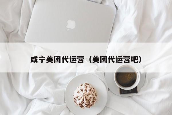 咸宁美团代运营（美团代运营吧）-第1张图片-懂团帝