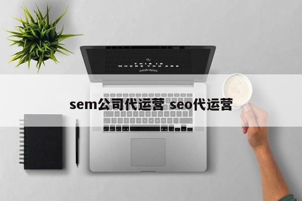 sem公司代运营 seo代运营-第1张图片-懂团帝