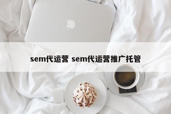 sem代运营 sem代运营推广托管-第1张图片-懂团帝