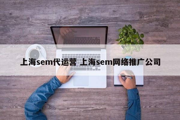 上海sem代运营 上海sem网络推广公司-第1张图片-懂团帝