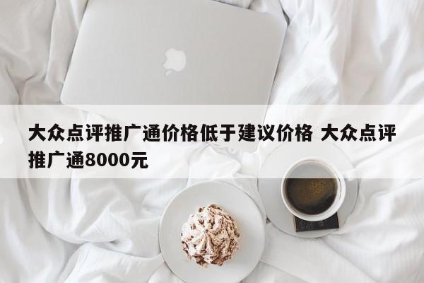 大众点评推广通价格低于建议价格 大众点评推广通8000元-第1张图片-懂团帝