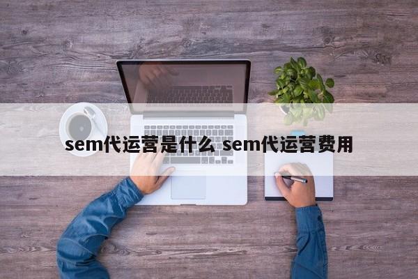 sem代运营是什么 sem代运营费用-第1张图片-懂团帝