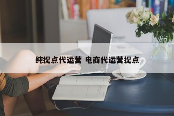 纯提点代运营 电商代运营提点-第1张图片-懂团帝