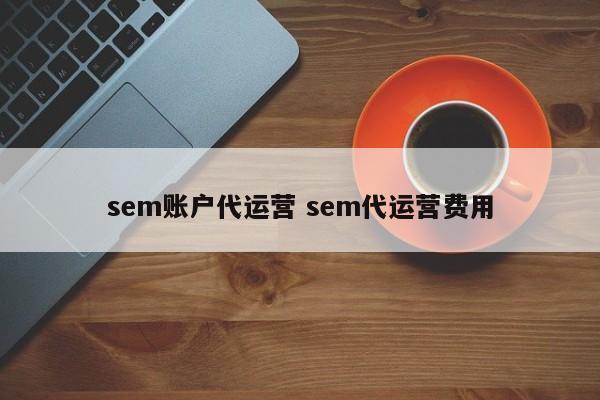 sem账户代运营 sem代运营费用-第1张图片-懂团帝