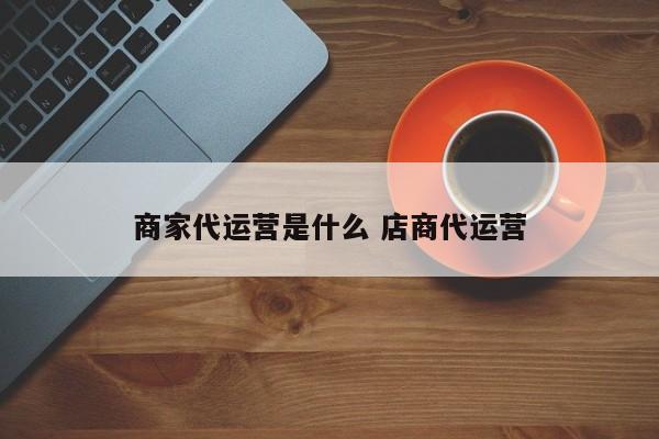 商家代运营是什么 店商代运营-第1张图片-懂团帝