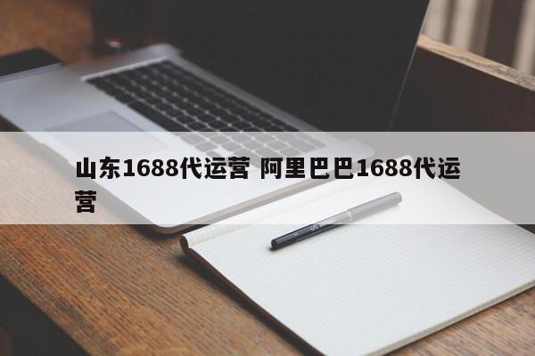 山东1688代运营 阿里巴巴1688代运营-第1张图片-懂团帝