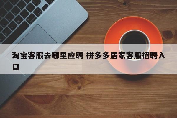 淘宝客服去哪里应聘 拼多多居家客服招聘入口-第1张图片-懂团帝