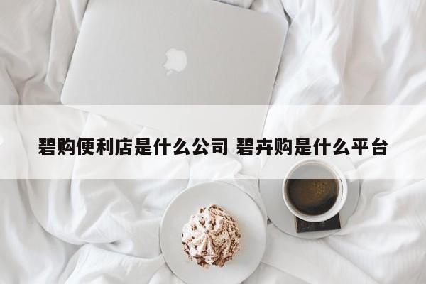 碧购便利店是什么公司 碧卉购是什么平台-第1张图片-懂团帝