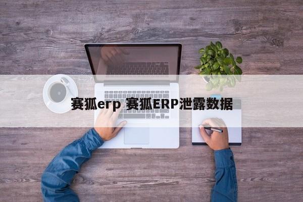 赛狐erp 赛狐ERP泄露数据-第1张图片-懂团帝